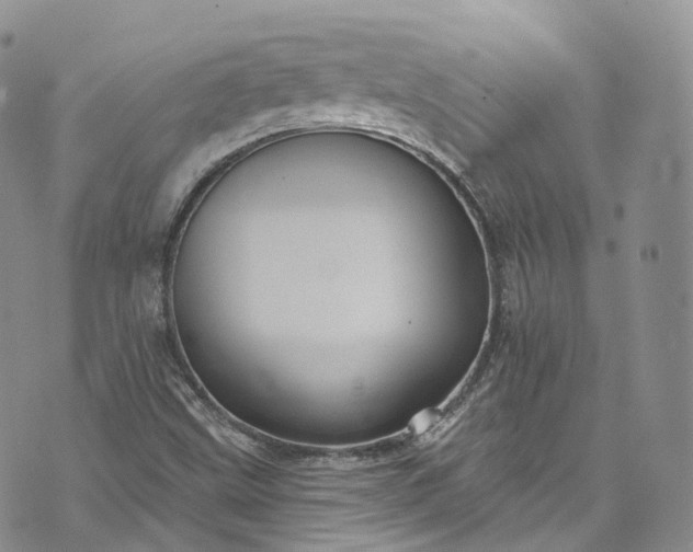 X0000072991499200608041255