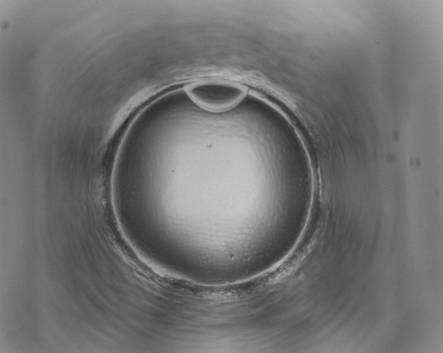 X0000072991501200608041255