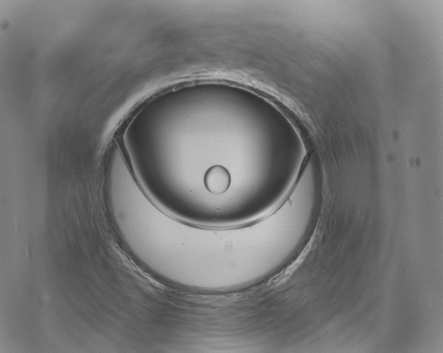 X0000072991502200608041255