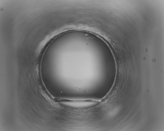 X0000072991503200608041255