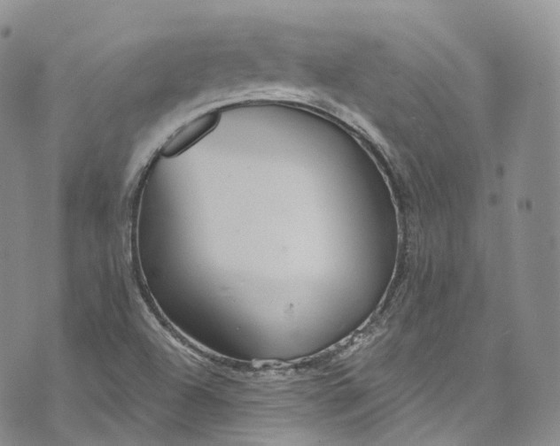 X0000072991504200608041255