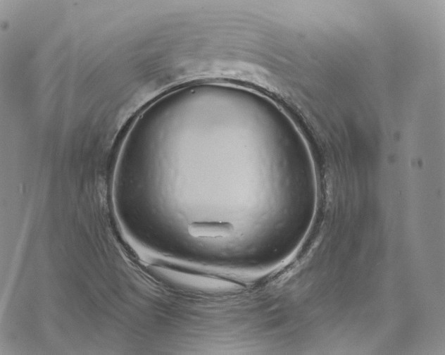 X0000072991505200608041255