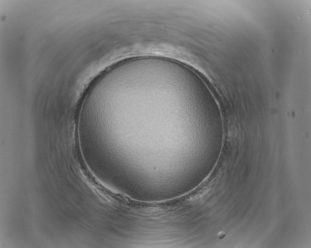 X0000072991507200608041255