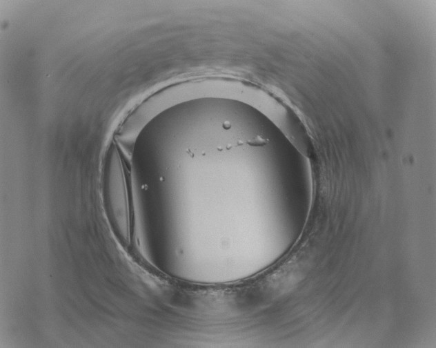 X0000072991508200608041255