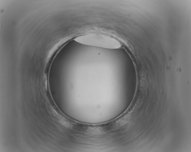 X0000072991509200608041255