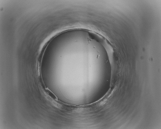 X0000072991510200608041255