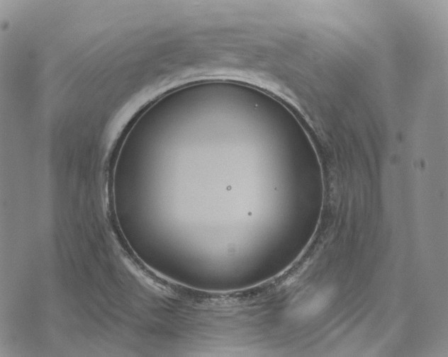 X0000072991511200608041255