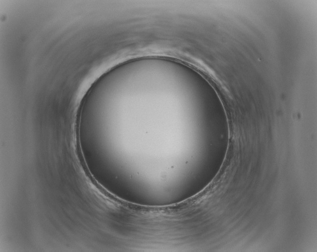 X0000072991512200608041255