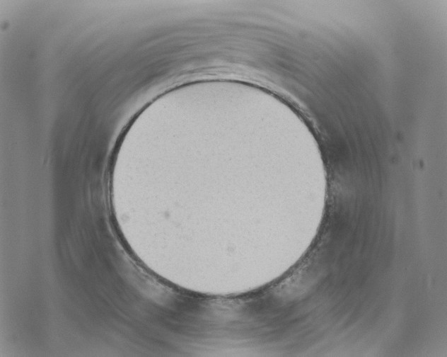 X0000072991514200608041255