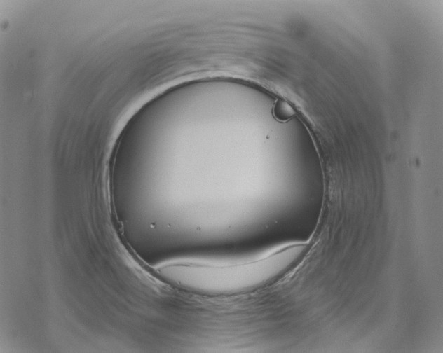 X0000072991516200608041255