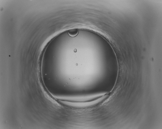 X0000072991518200608041255