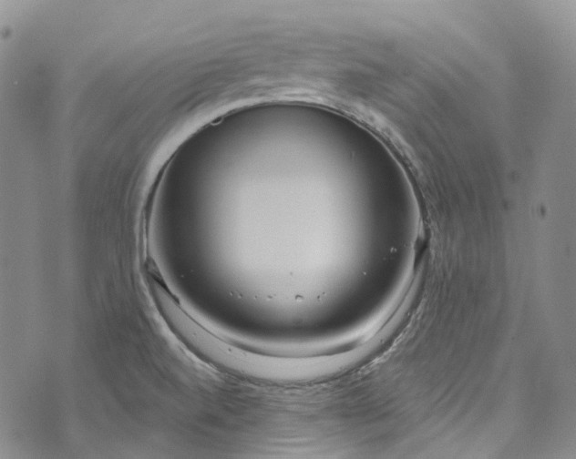 X0000072991520200608041255