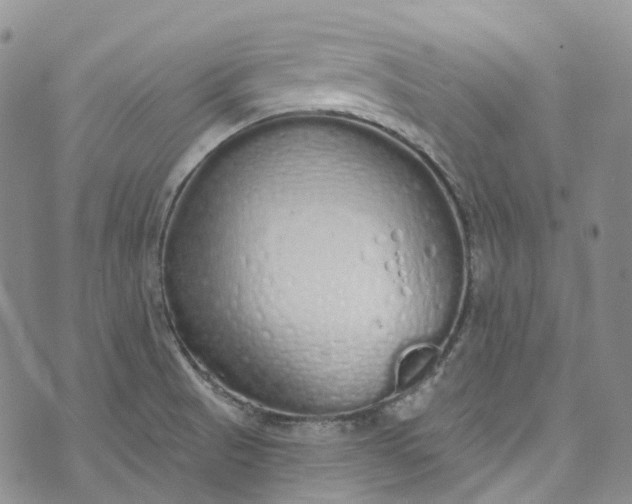 X0000072991521200608041255