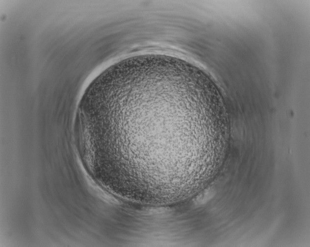 X0000072991522200608041255