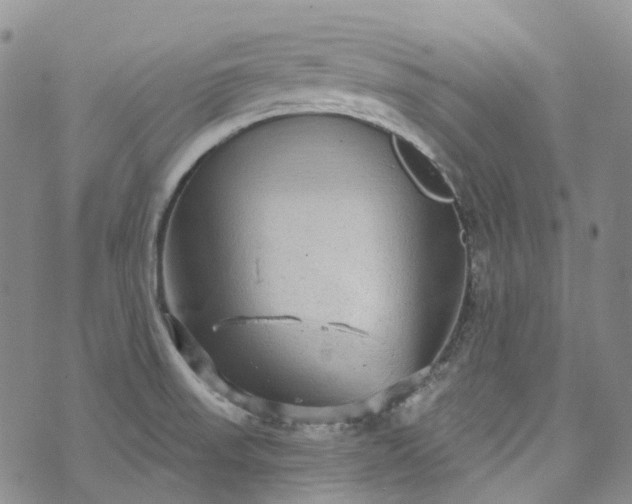 X0000072991523200608041255