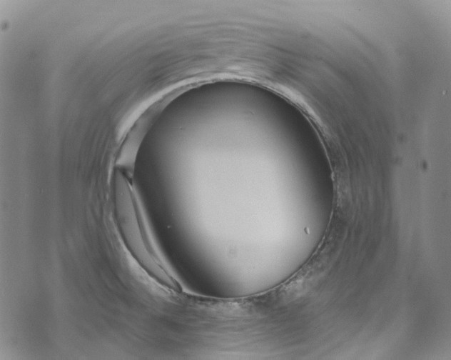 X0000072991524200608041255