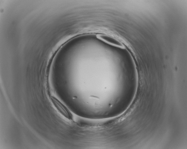 X0000072991525200608041255