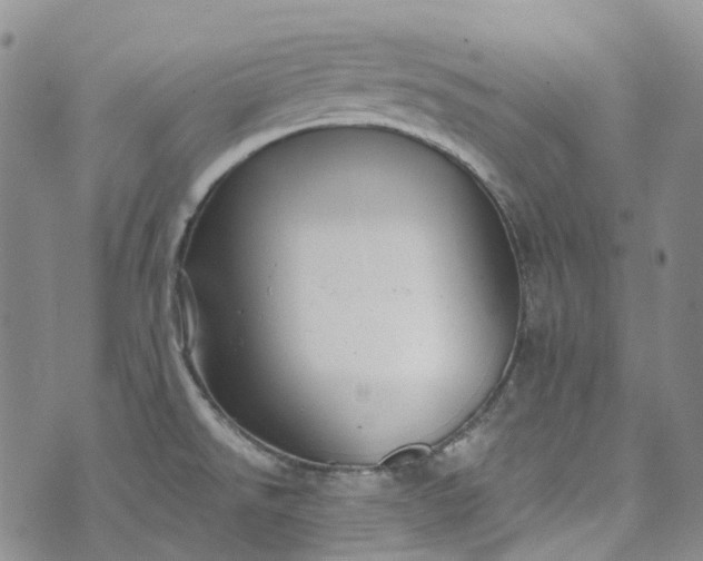 X0000072991526200608041255