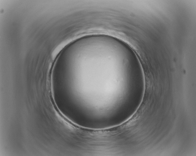 X0000072991527200608041255