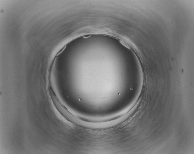 X0000072991528200608041255