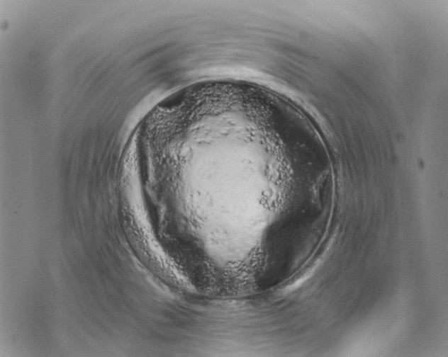 X0000072991529200608041255