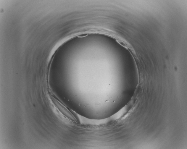 X0000072991530200608041255