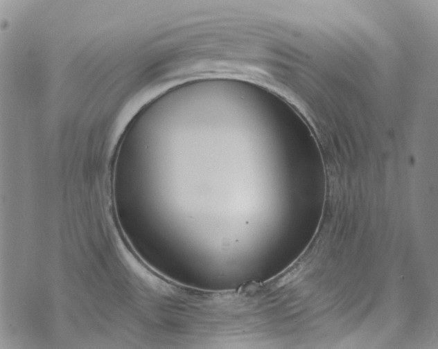 X0000072991531200608041255