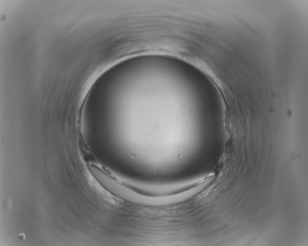 X0000072991532200608041255