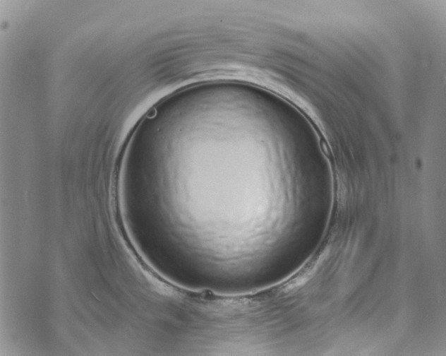 X0000072991533200608041255