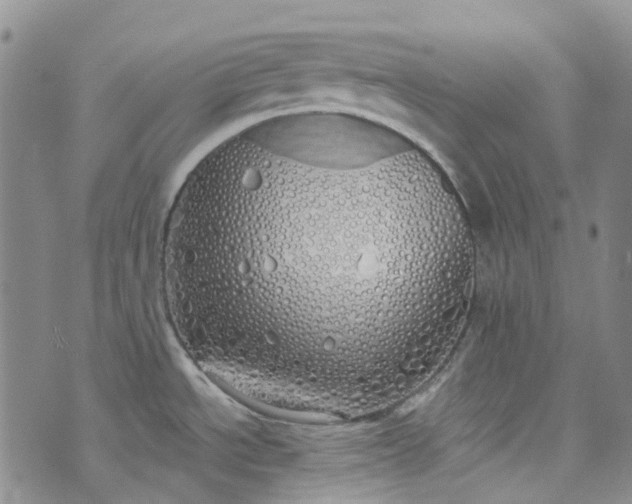 X0000072991534200608041255