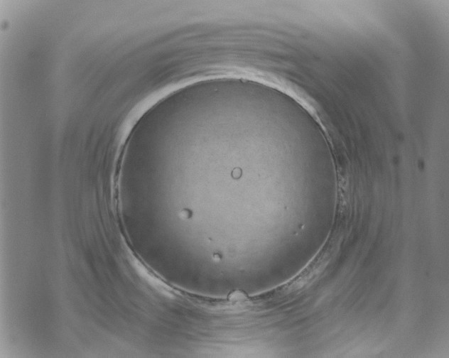 X0000072991535200608041255