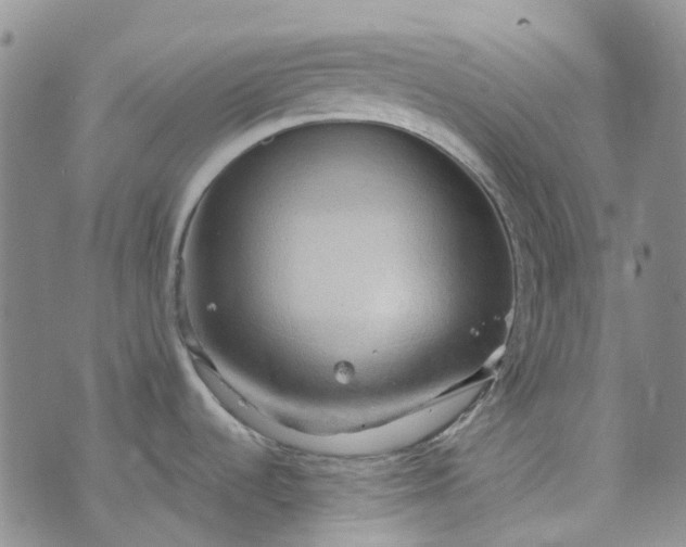 X0000072991536200608041255