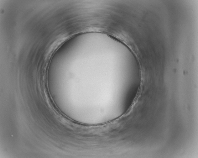 X0000072990001200608111819