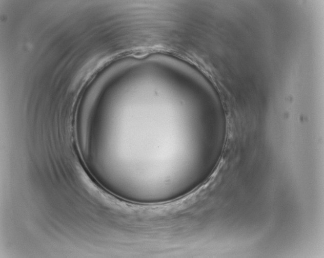 X0000072990002200608111819