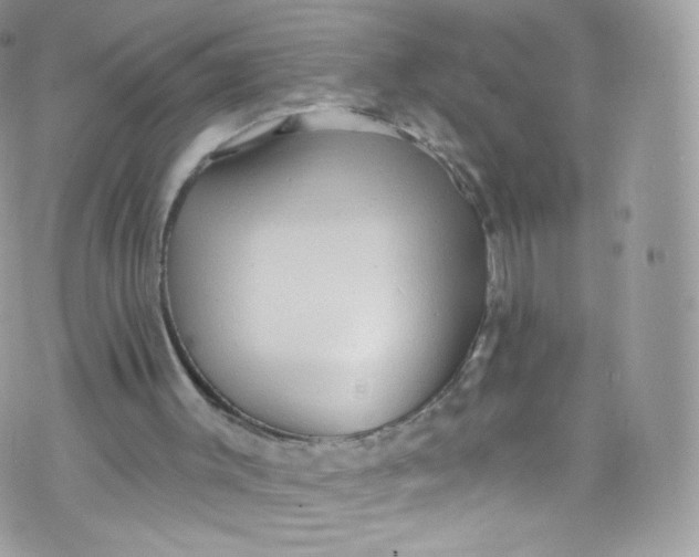 X0000072990003200608111819