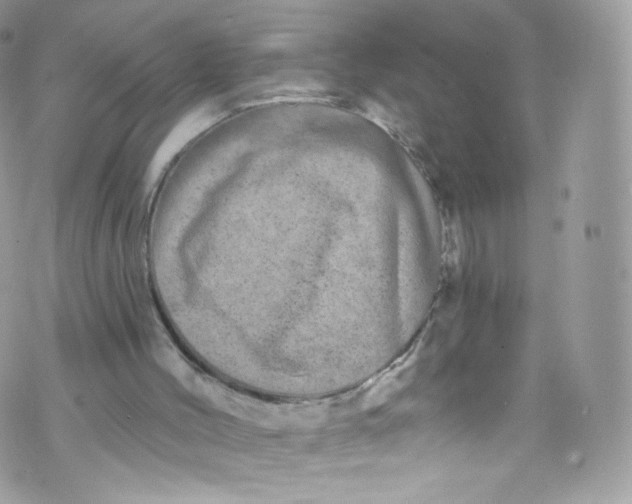 X0000072990004200608111819