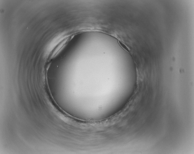 X0000072990005200608111818