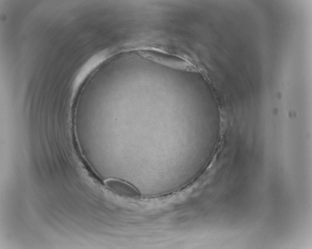 X0000072990006200608111818