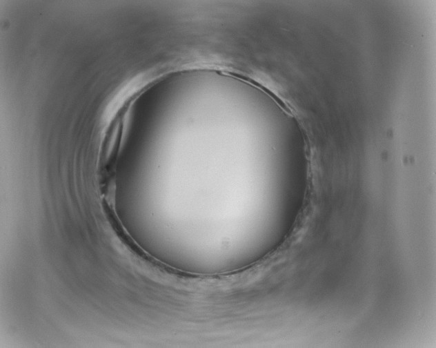 X0000072990007200608111818