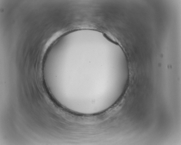 X0000072990008200608111818