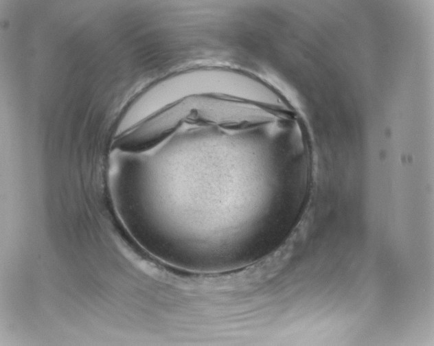 X0000072990009200608111818