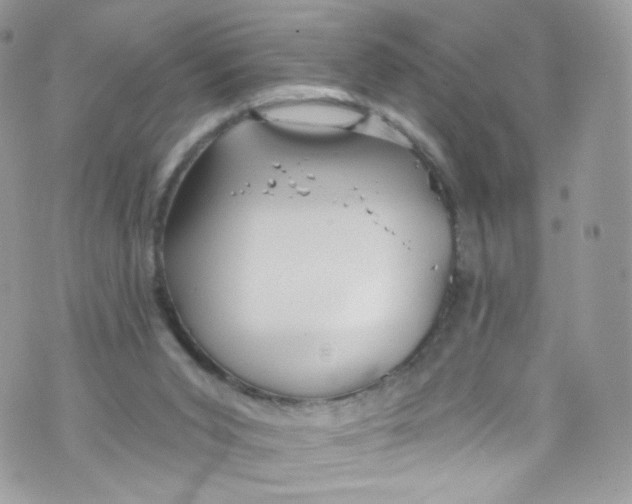 X0000072990015200608111818