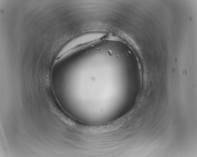 X0000072990017200608111818