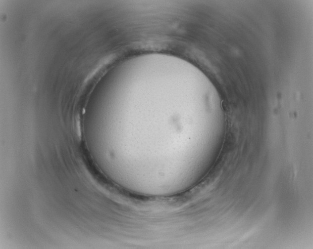 X0000072990020200608111818