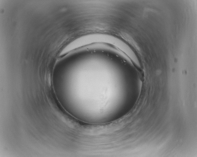 X0000072990021200608111818