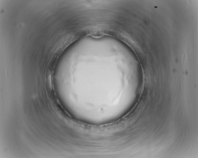 X0000072990022200608111818