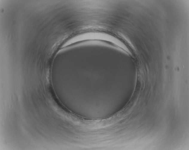 X0000072990023200608111818