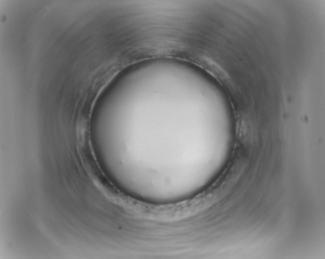 X0000072990026200608111818