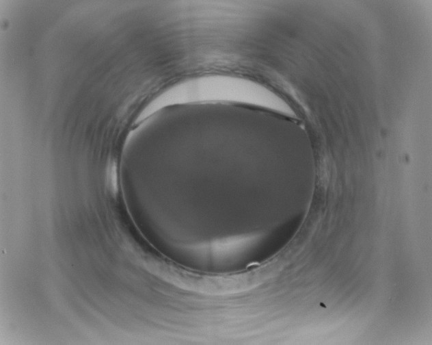 X0000072990027200608111818