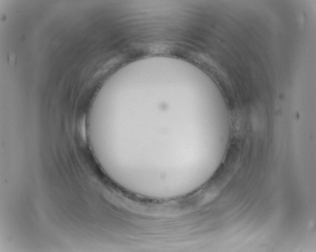 X0000072990028200608111818